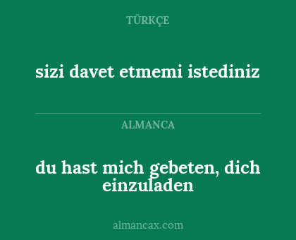 sizi davet etmemi istediniz - du hast mich gebeten, dich einzuladen