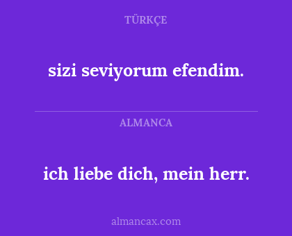 sizi seviyorum efendim. - ich liebe dich, mein herr.