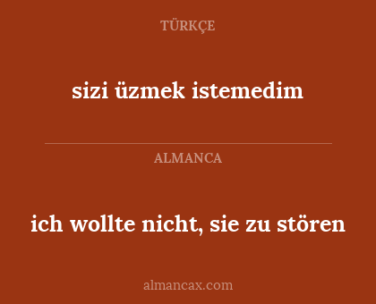 ich wollte nicht, sie zu stören - sizi üzmek istemedim