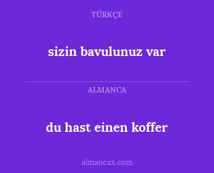 du hast einen koffer - sizin bavulunuz var