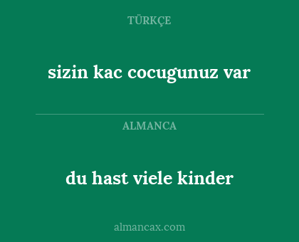 du hast viele kinder - sizin kac cocugunuz var