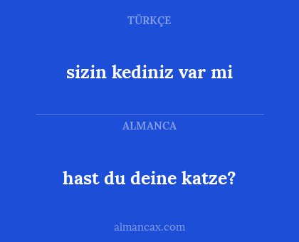 hast du deine katze? - sizin kediniz var mi
