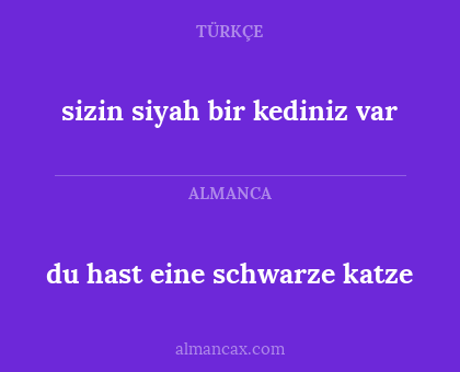 du hast eine schwarze katze - sizin siyah bir kediniz var