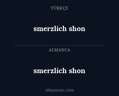 smerzlich shon - smerzlich shon
