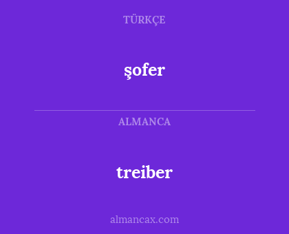 treiber - şofer
