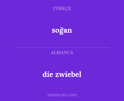 soğan - die zwiebel