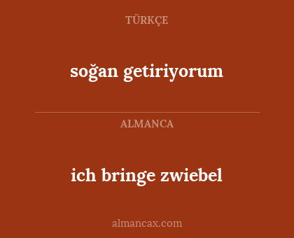 soğan getiriyorum - ich bringe zwiebel