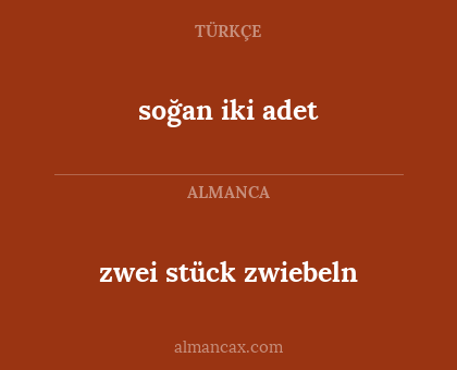 soğan iki adet - zwei stück zwiebeln