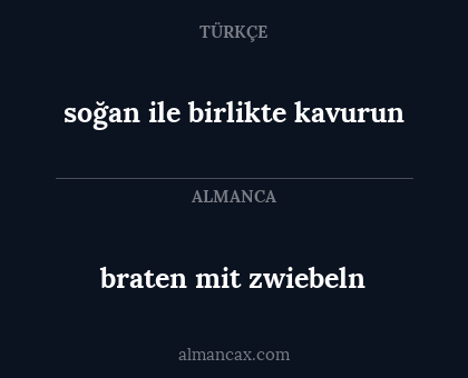 soğan ile birlikte kavurun - braten mit zwiebeln