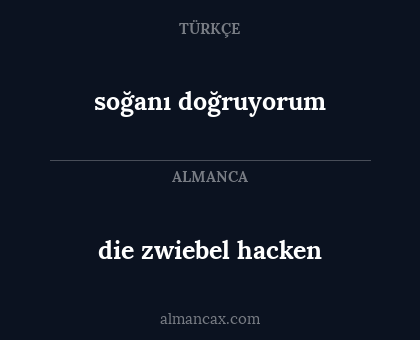 die zwiebel hacken - soğanı doğruyorum