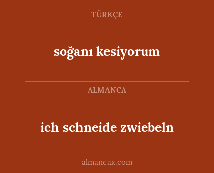 ich schneide zwiebeln - soğanı kesiyorum