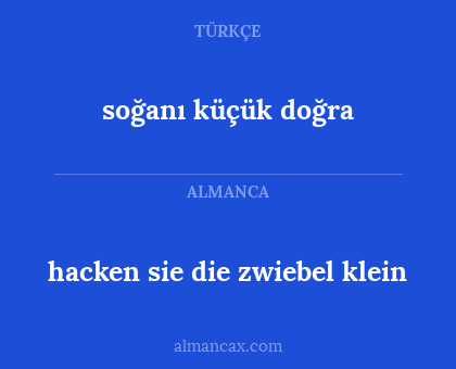 hacken sie die zwiebel klein - soğanı küçük doğra