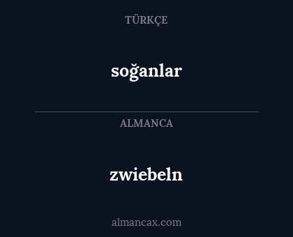 soğanlar - zwiebeln