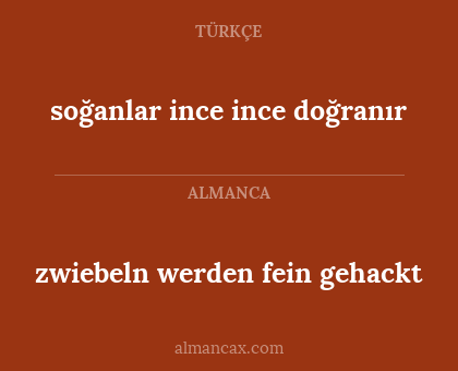 soğanlar ince ince doğranır - zwiebeln werden fein gehackt