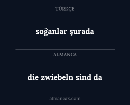 soğanlar şurada - die zwiebeln sind da