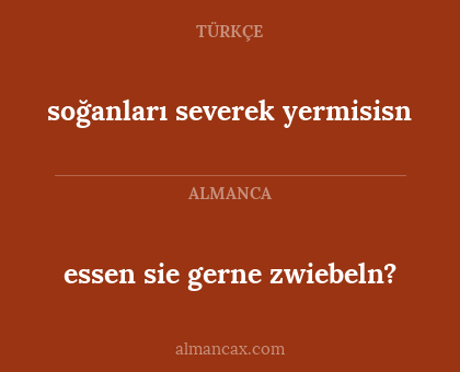 soğanları severek yermisisn - essen sie gerne zwiebeln?