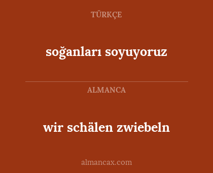 soğanları soyuyoruz - wir schälen zwiebeln