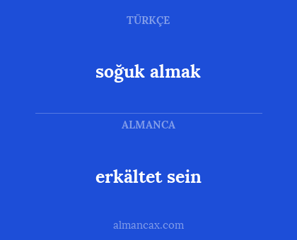 erkältet sein - soğuk almak
