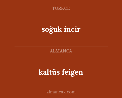 kaltüs feigen - soğuk incir
