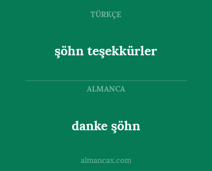 danke şöhn - şöhn teşekkürler