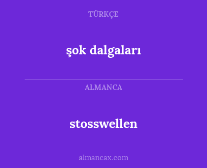 şok dalgaları - stosswellen