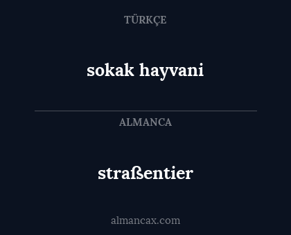 straßentier - sokak hayvani
