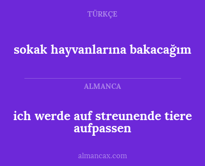 ich werde auf streunende tiere aufpassen - sokak hayvanlarına bakacağım