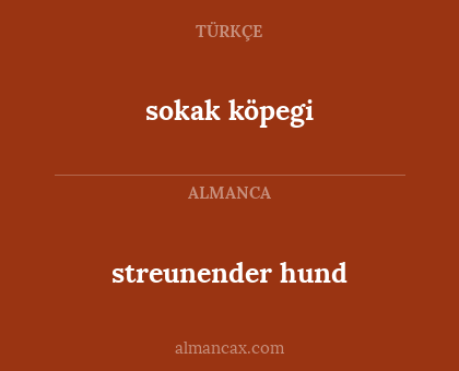 streunender hund - sokak köpegi