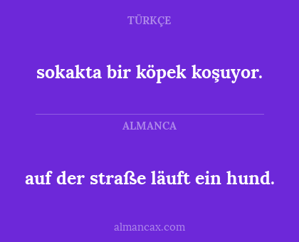 sokakta bir köpek koşuyor. - auf der straße läuft ein hund.