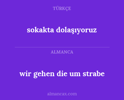 wir gehen die um strabe - sokakta dolaşıyoruz