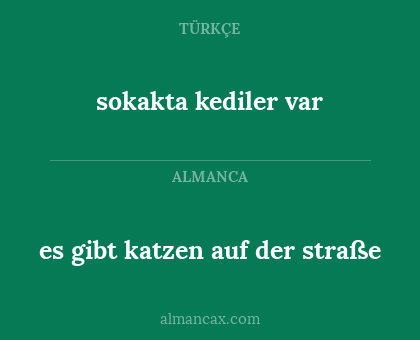 sokakta kediler var - es gibt katzen auf der straße