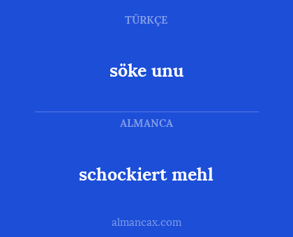 schockiert mehl - söke unu