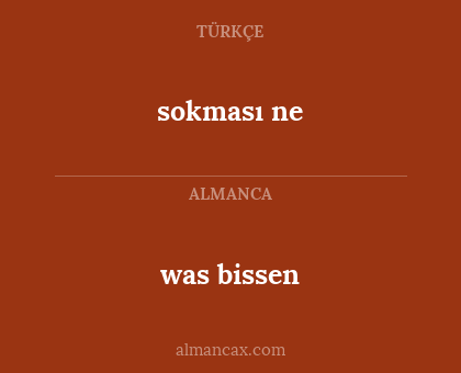 was bissen - sokması ne