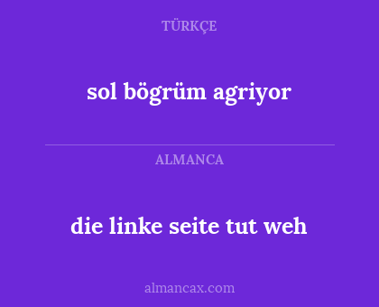 die linke seite tut weh - sol bögrüm agriyor