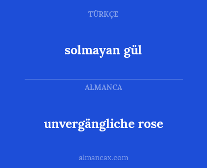 unvergängliche rose - solmayan gül