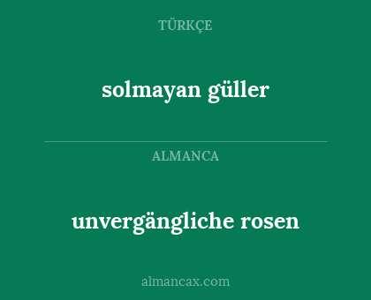 solmayan güller - unvergängliche rosen