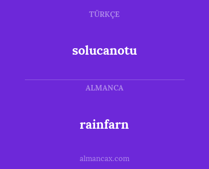 rainfarn - solucanotu