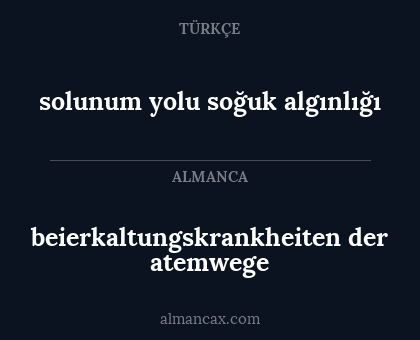 solunum yolu soğuk algınlığı - beierkaltungskrankheiten der atemwege