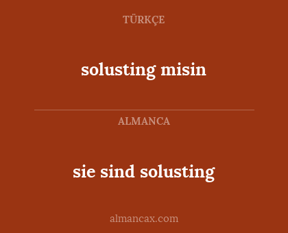 solusting misin - sie sind solusting