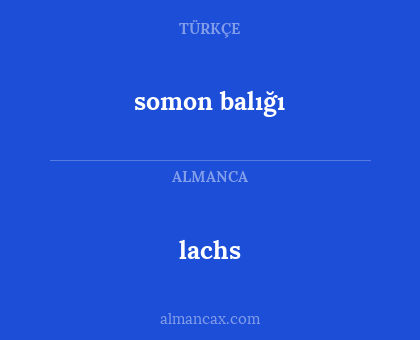 lachs - somon balığı