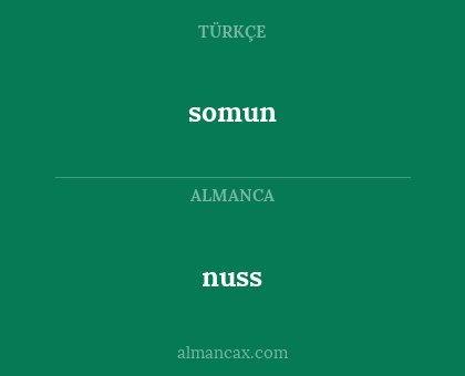 nuss - somun