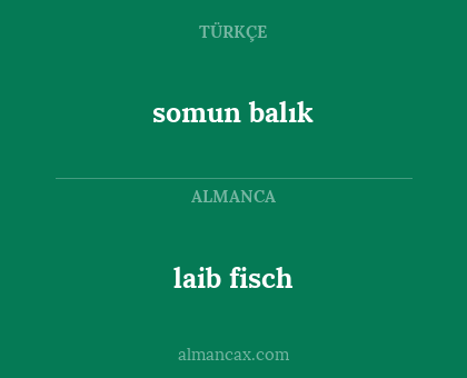 laib fisch - somun balık