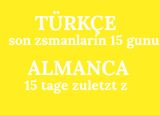 son+zsmanlarin+15+gunu-15+tage+zuletzt+z.png