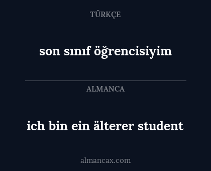 ich bin ein älterer student - son sınıf öğrencisiyim