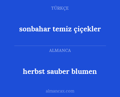 sonbahar temiz çiçekler - herbst sauber blumen