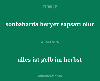 alles ist gelb im herbst - sonbaharda heryer sapsarı olur