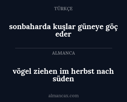 vögel ziehen im herbst nach süden - sonbaharda kuşlar güneye göç eder