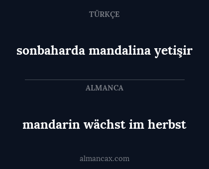 mandarin wächst im herbst - sonbaharda mandalina yetişir