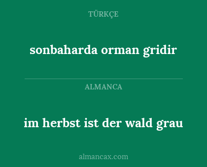 im herbst ist der wald grau - sonbaharda orman gridir
