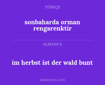 sonbaharda orman rengarenktir - im herbst ist der wald bunt